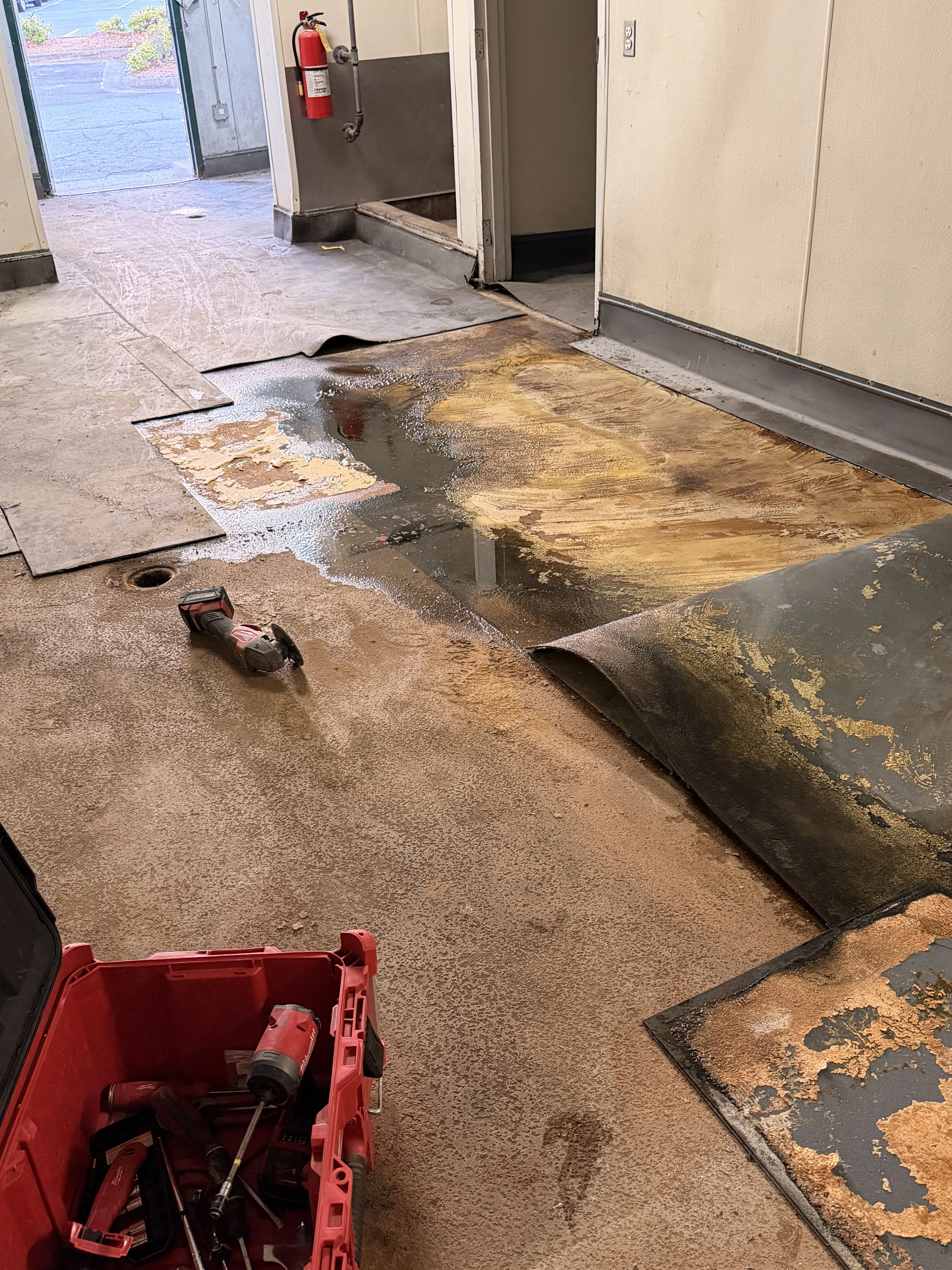 Project 10 — image 1