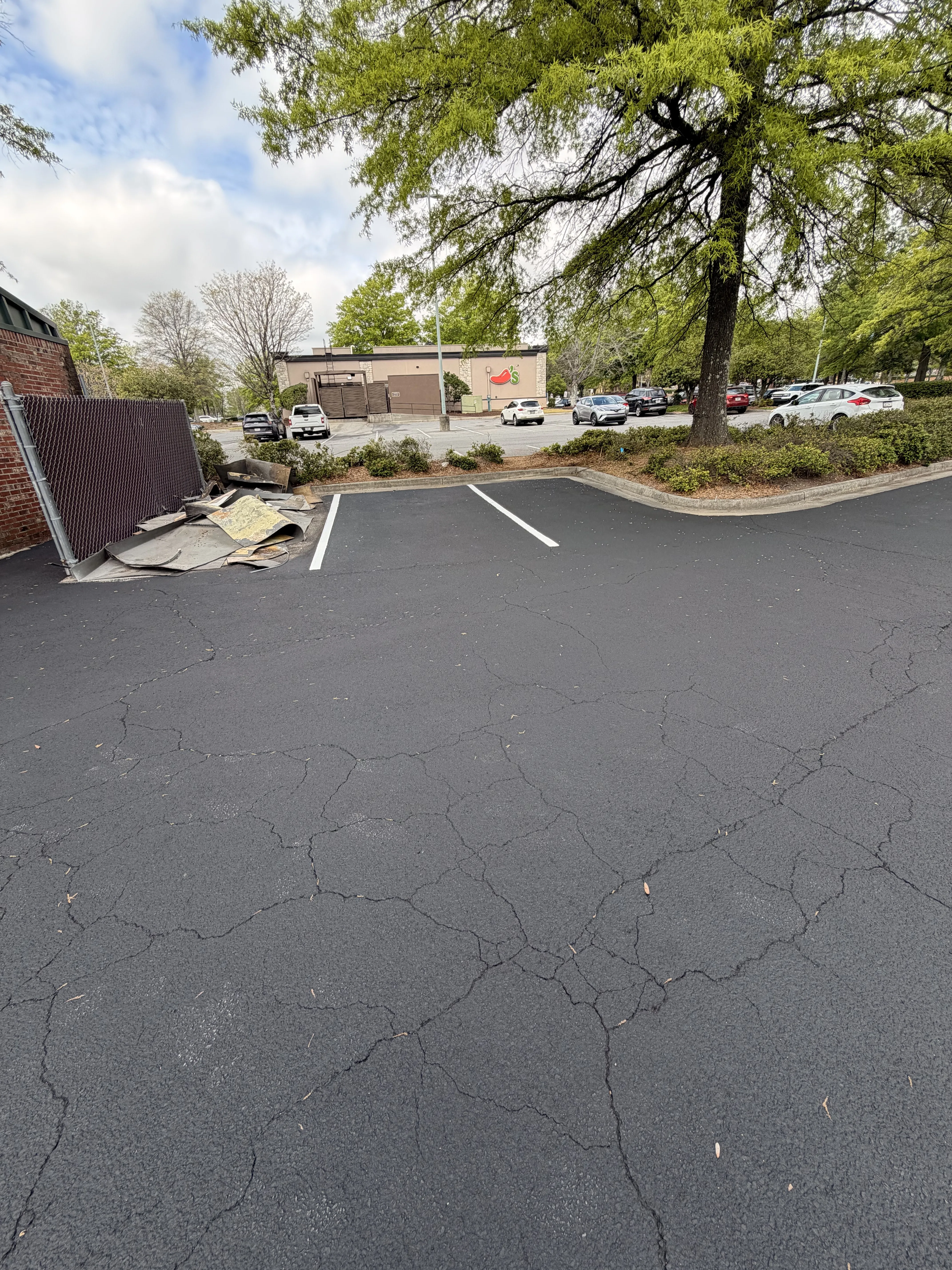 Project 11 — image 2