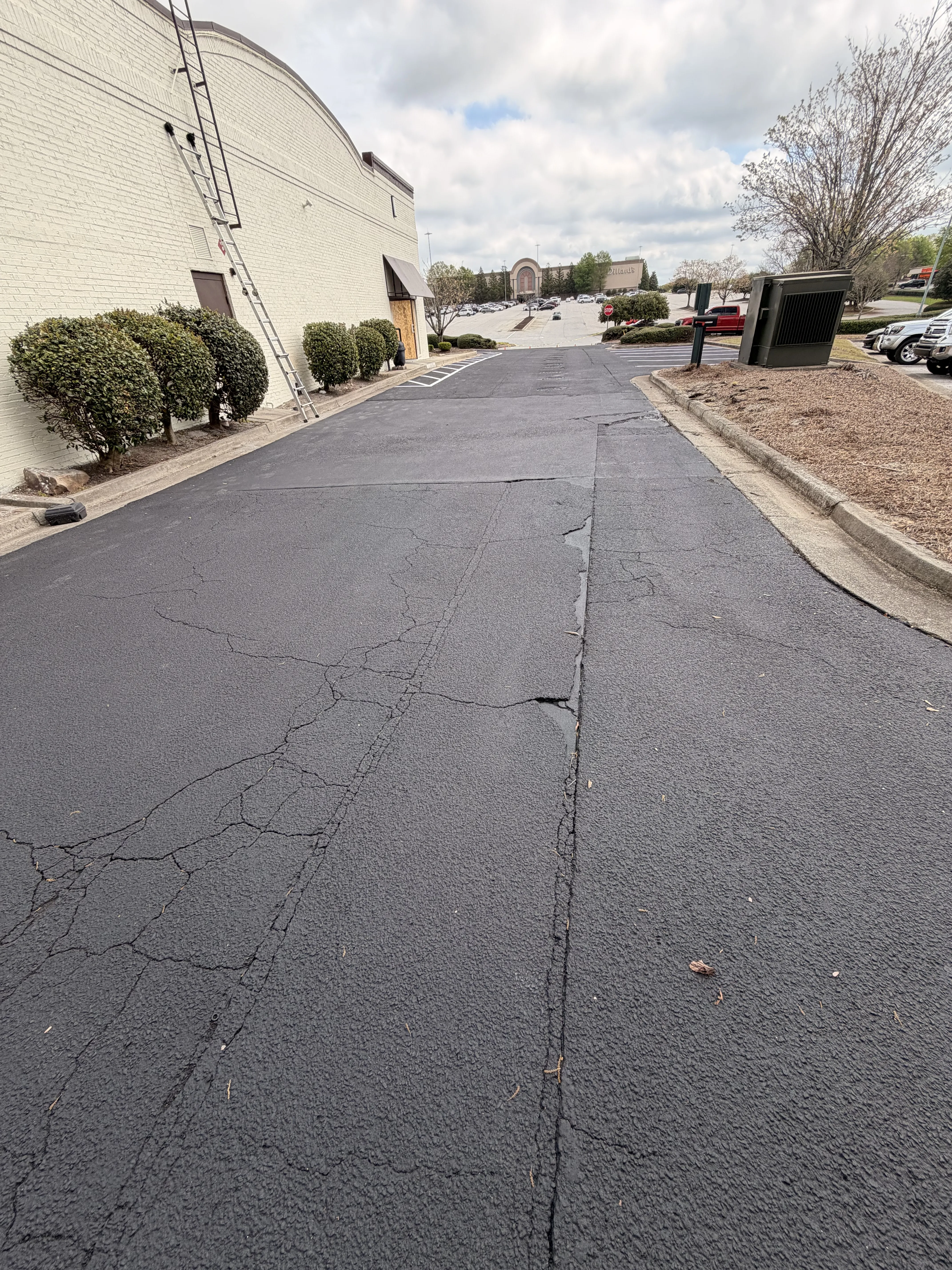 Project 11 — image 3