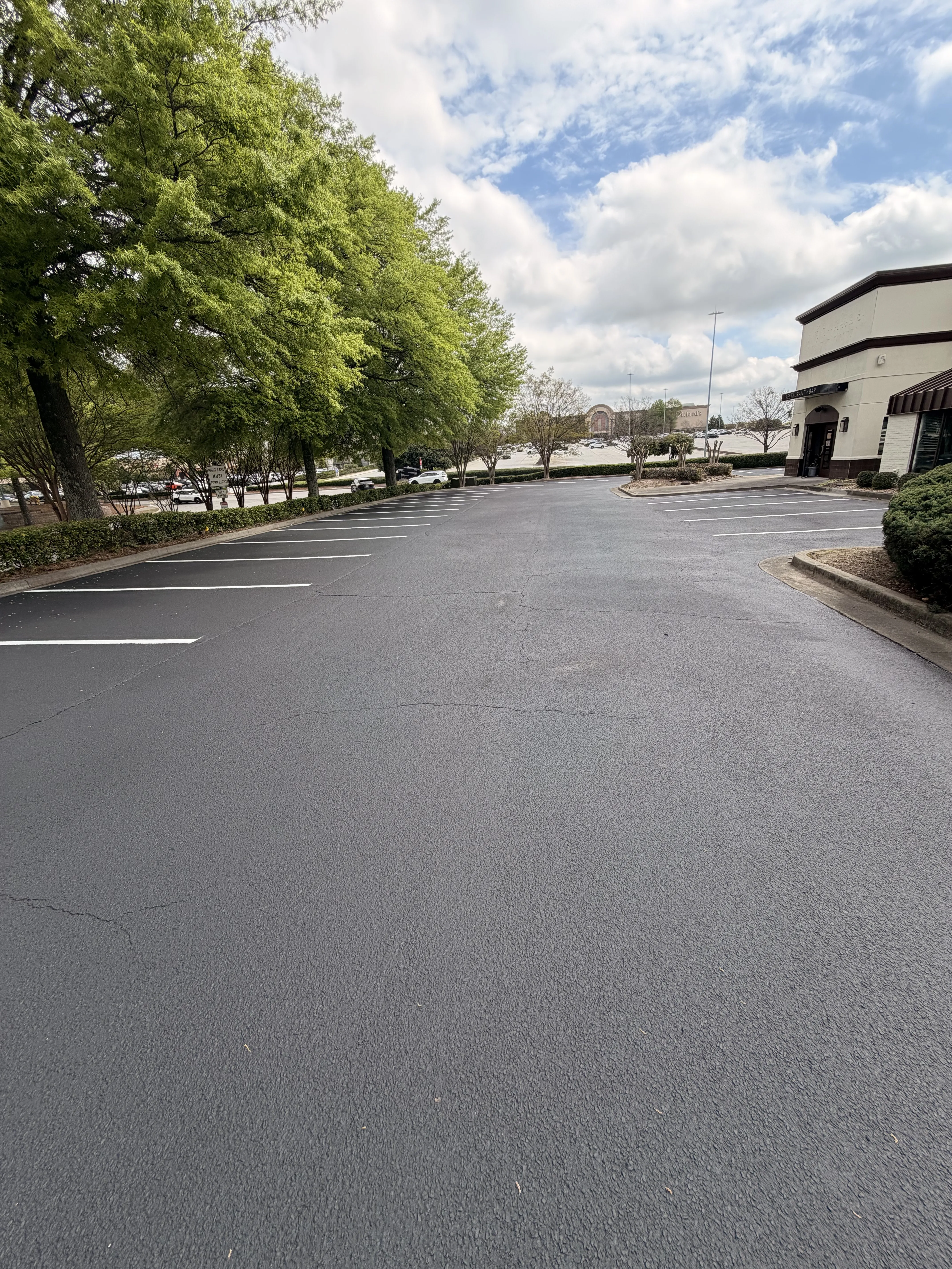 Project 11 — image 4