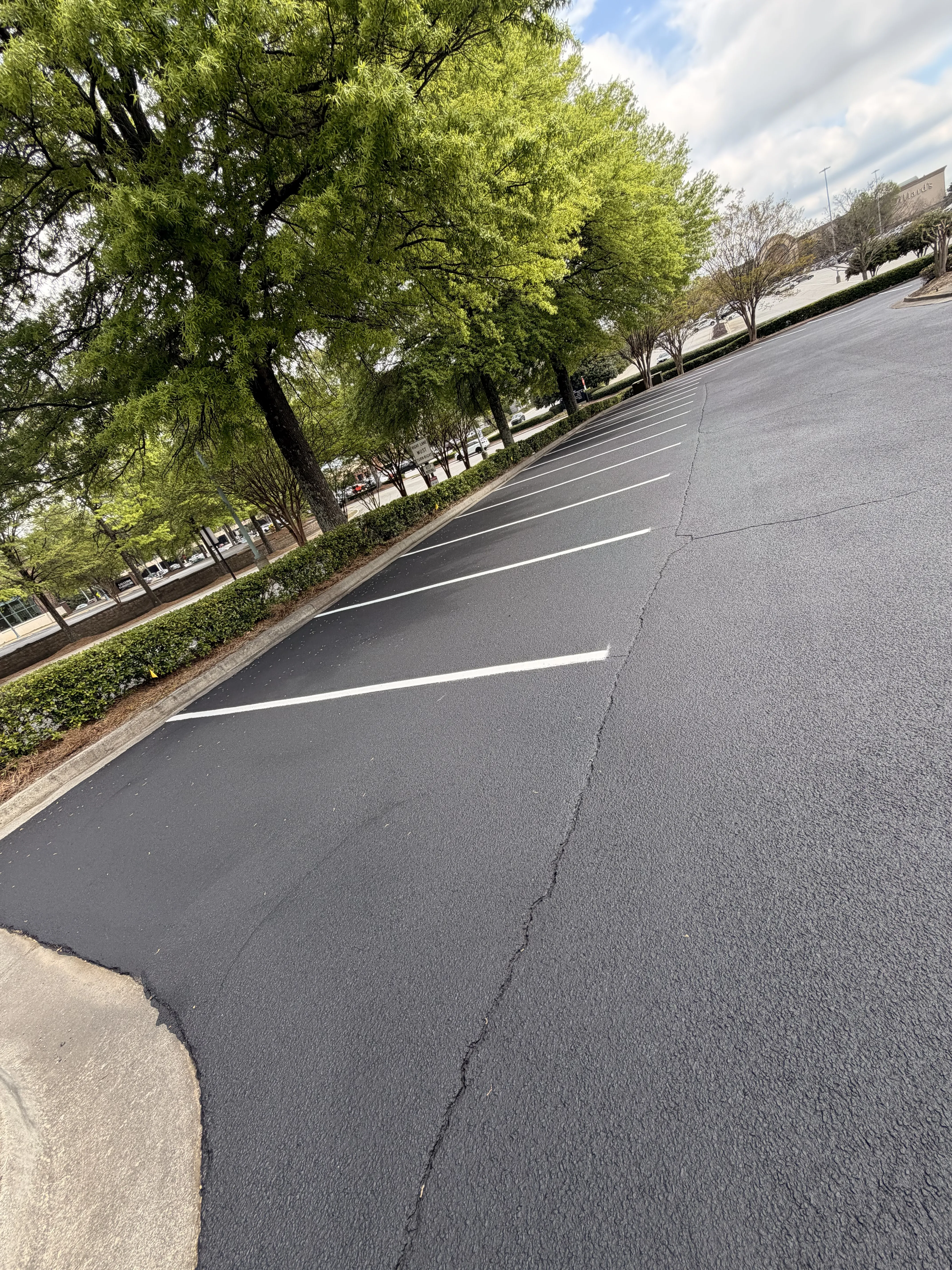 Project 11 — image 5